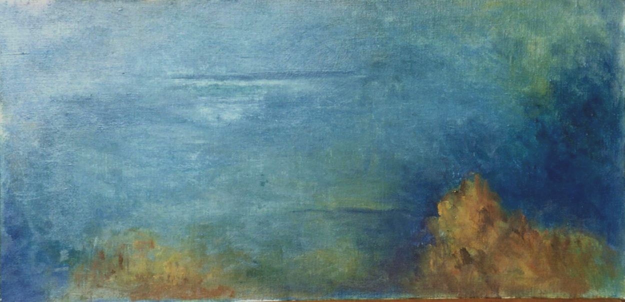 Marine, 2000 environ