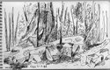La Pierre-Qui-Vire, 1988 *
