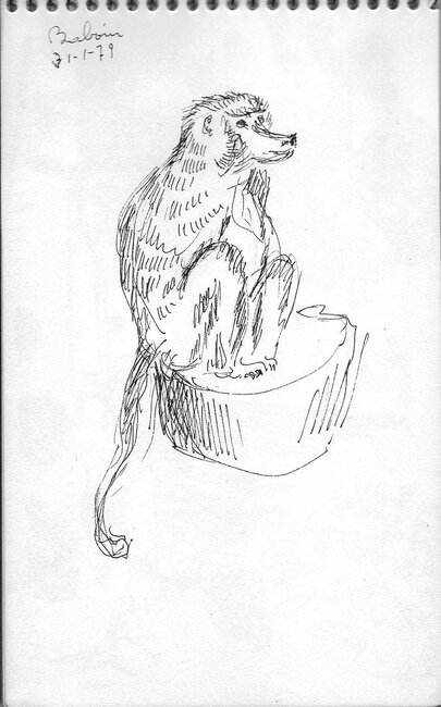 Extraits d'un carnet de croquis (jazz etc., babouin, chats), 1979-88 *