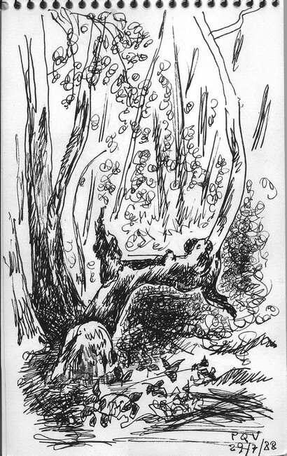 La Pierre-Qui-Vire, 1988 *