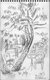 Ascona, extraits d'un carnet de croquis, 1969 *