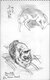 Extraits d'un carnet de croquis (jazz etc., babouin, chats), 1979-88 *